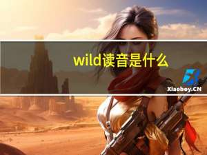 wild读音是什么