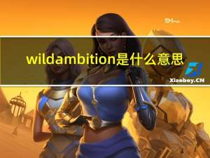 wildambition是什么意思（ambition是什么意思）