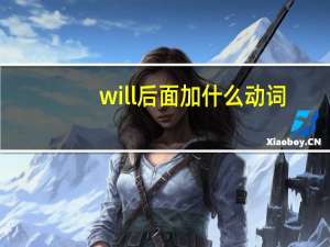 will 后面加什么动词
