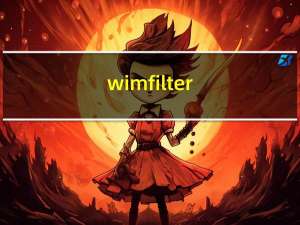 wimfilter.sys不见（wimfilter.sys）