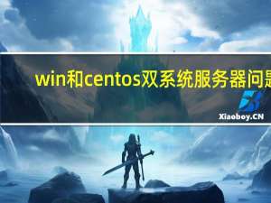 win和centos 双系统服务器问题（winhec）