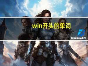 win开头的单词