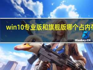 win10专业版和旗舰版哪个占内存大（win10专业版和旗舰版）