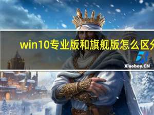 win10专业版和旗舰版怎么区分（win10专业版和旗舰版）