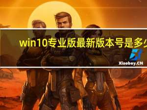 win10专业版最新版本号是多少（win10专业版最新版本号是多少）