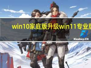 win10家庭版升级win11专业版