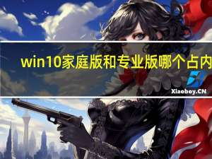win10家庭版和专业版哪个占内存（win10家庭版和专业版的区别）