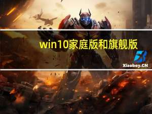 win10家庭版和旗舰版（旗舰版和家庭版的区别）