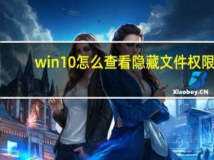 win10怎么查看隐藏文件权限（win10怎么查看隐藏文件夹）