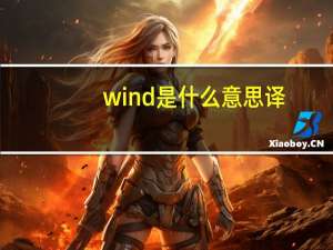 wind是什么意思译