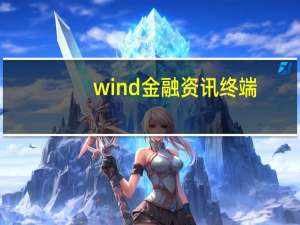 wind金融资讯终端（wind资讯理财终端）