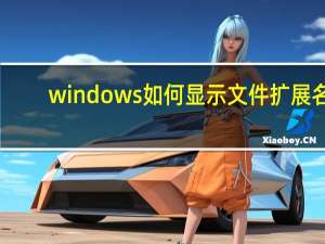 windows如何显示文件扩展名（显示文件扩展名）