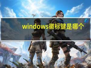 windows徽标键是哪个