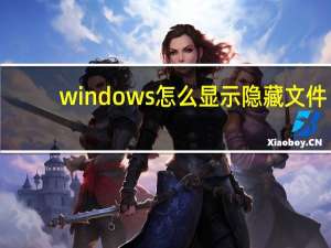 windows怎么显示隐藏文件（怎么显示隐藏文件）