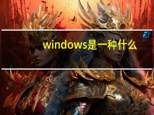 windows是一种什么