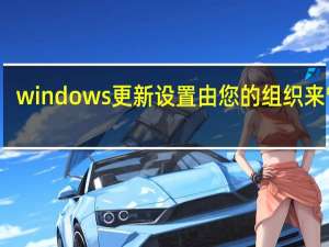 windows更新设置由您的组织来管理（windows更新设置）