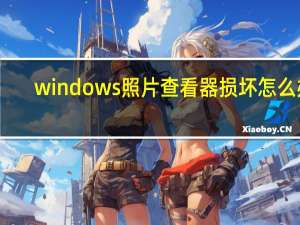 windows照片查看器损坏怎么办（windows图片查看器修复）