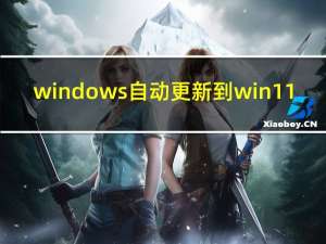 windows 自动更新到win11（windows 自动更新）