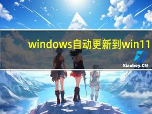 windows 自动更新到win11（windows 自动更新）