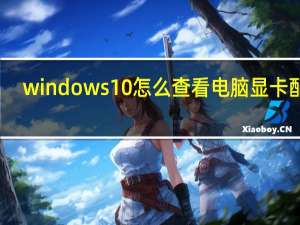 windows10怎么查看电脑显卡配置（怎么查看电脑显卡配置）