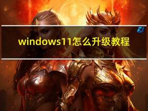 windows11怎么升级教程（windows11怎么升级）