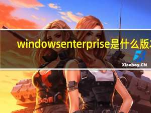windows enterprise是什么版本（enterprise是什么版本）