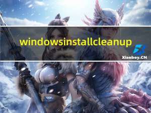 windows install clean up（installous源）
