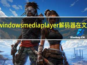 windows media player解码器在文件那里