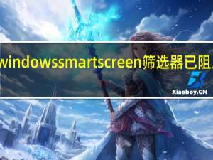 windows smartscreen筛选器已阻止启动（smartscreen筛选器已经阻止了下载）