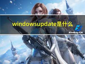windows update是什么（windows update是什么意思）