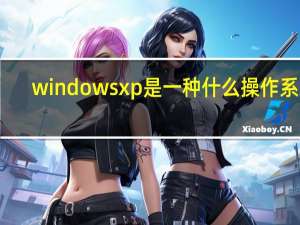 windows xp是一种什么操作系统