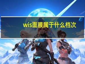 wis面膜属于什么档次