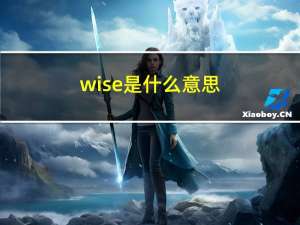 wise是什么意思（wis怎么样）