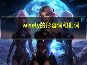 wisely的形容词和副词