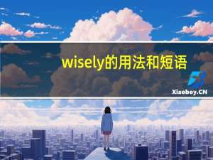 wisely的用法和短语