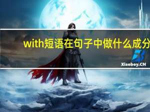 with短语在句子中做什么成分
