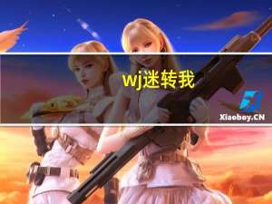 wj迷转我