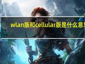wlan版和cellular版是什么意思（wlan版和cellular版的区别）