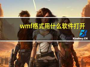 wmf格式用什么软件打开（wmf是什么格式）