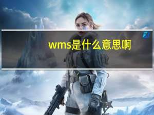 wms是什么意思啊
