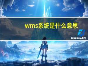 wms系统是什么意思