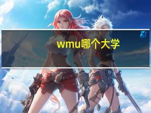wmu哪个大学