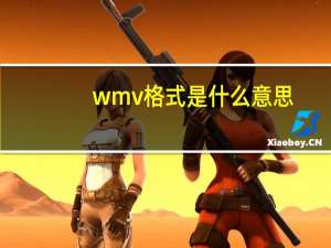 wmv格式是什么意思（wmv格式）