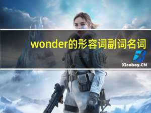 wonder的形容词副词名词