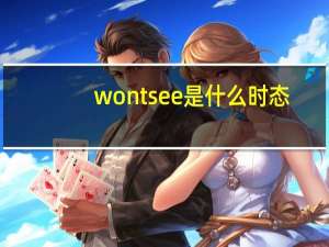 wont see是什么时态