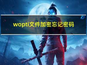 wopti文件加密忘记密码（wopti）