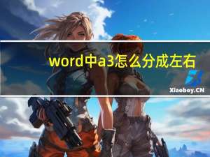 word中a3怎么分成左右（worda3排版怎么分两半）