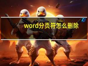 word分页符怎么删除（word分页）