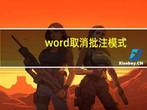 word 取消批注模式（word取消批注模式）