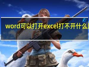 word可以打开excel打不开什么原因（word打不开是什么原因）
